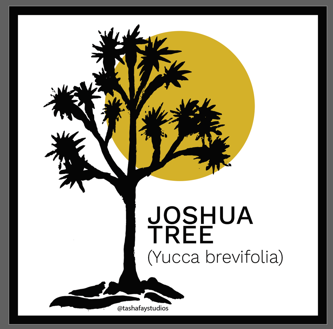 3" Joshua Tree Plant Fridge Magnet