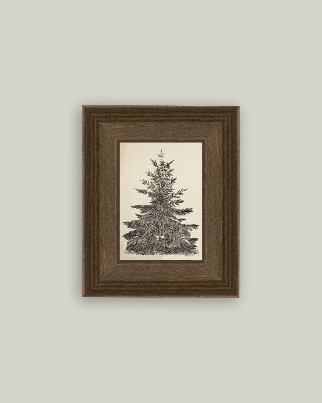 Vintage Pine Tree Framed Antique