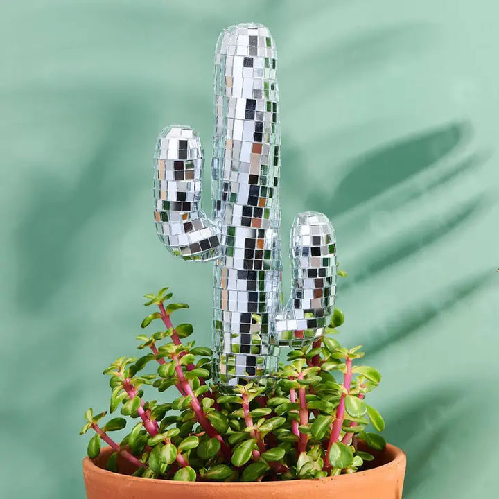 Disco Cactus Plant Stake