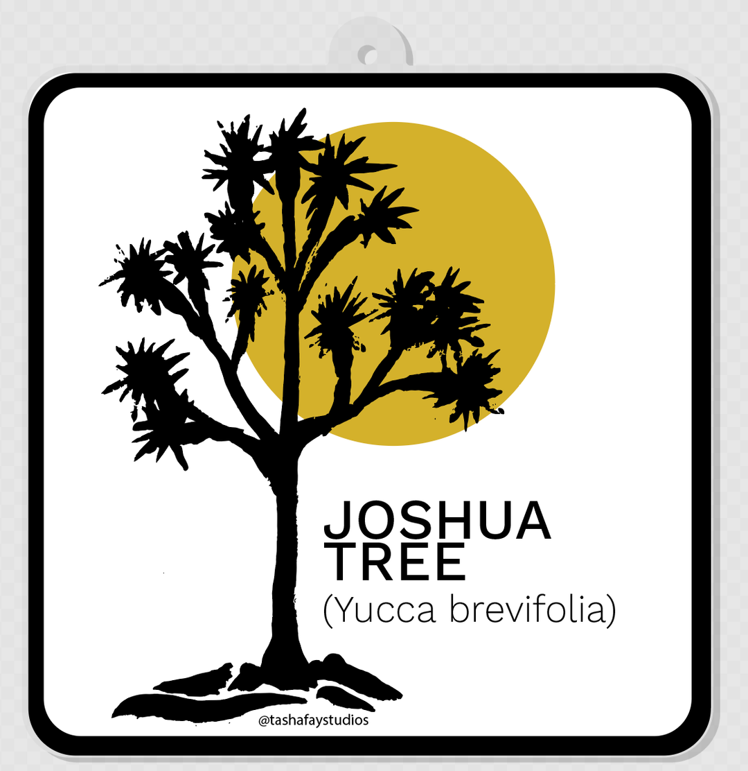 3" Joshua Tree Acrylic Ornament