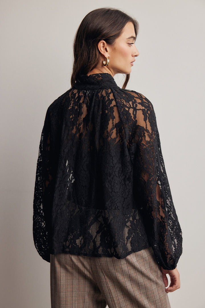 Sheer Lace Tie Neck Blouse