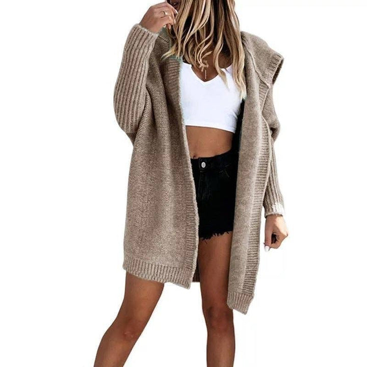 Loose Knit Hoodie Sweater