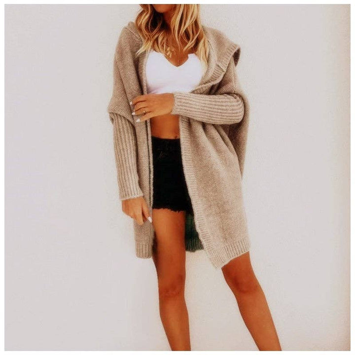Loose Knit Hoodie Sweater