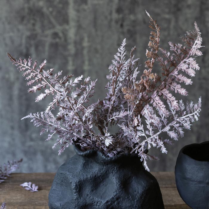 Fern Bush Purple Stem