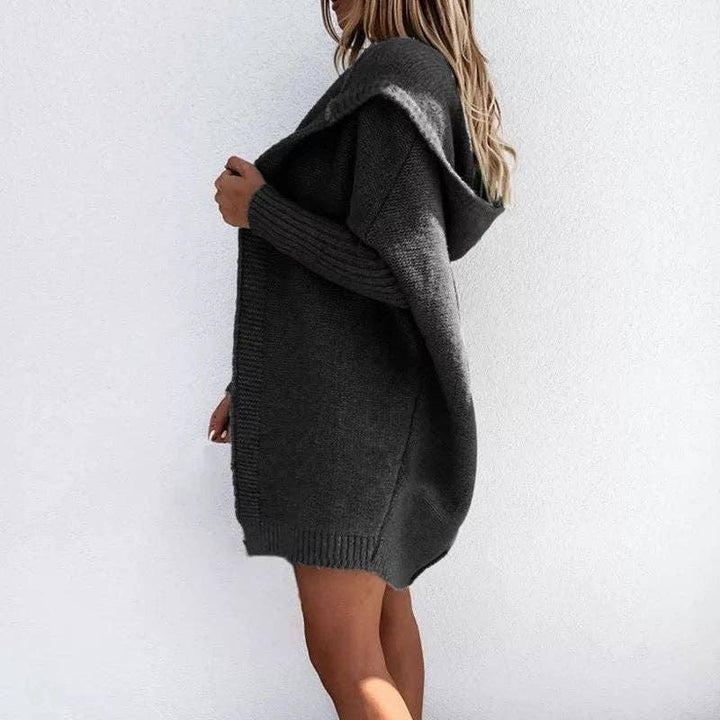 Loose Knit Hoodie Sweater