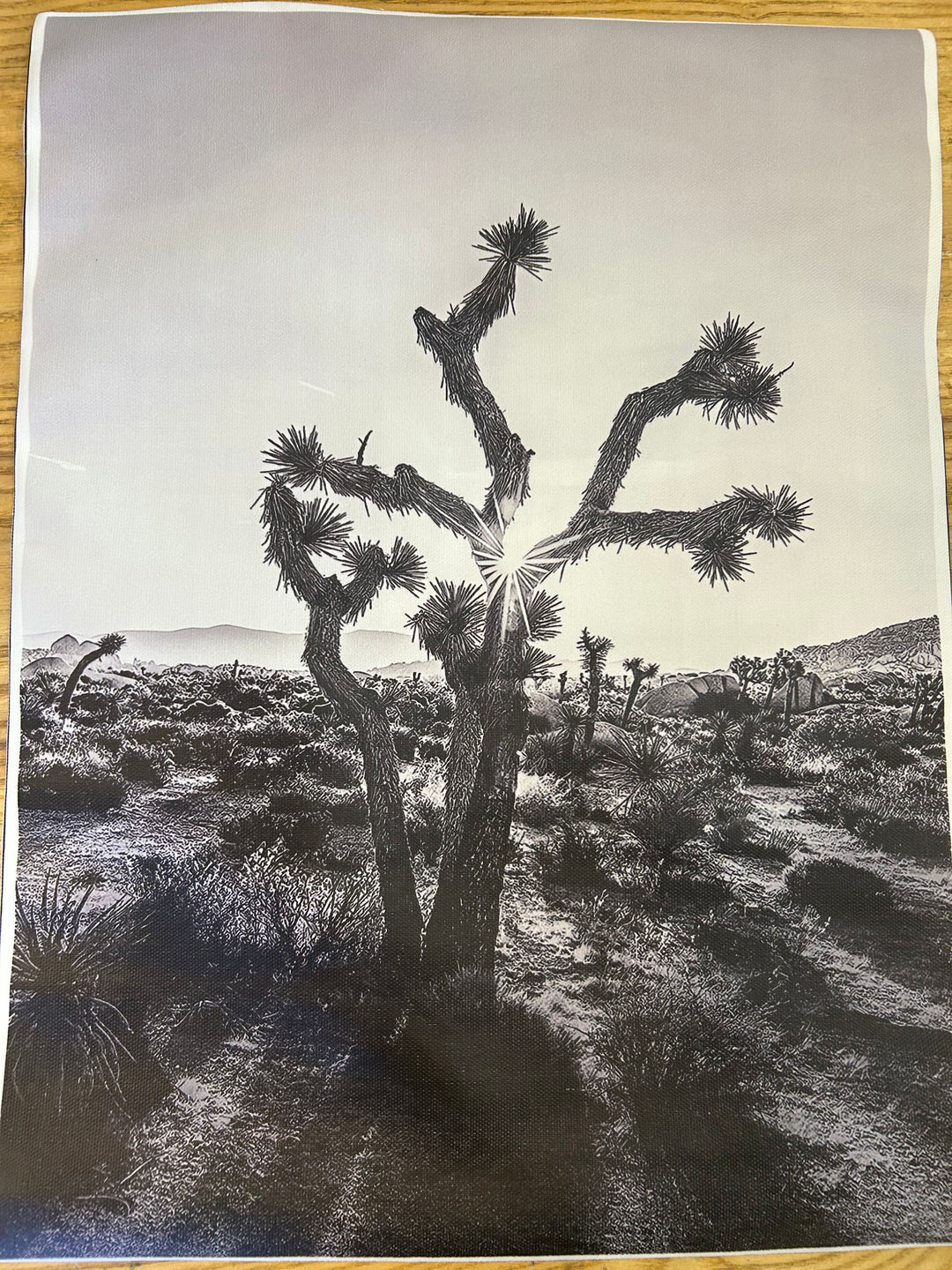 Canvas Desert Prints
