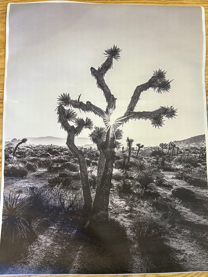Canvas Desert Prints
