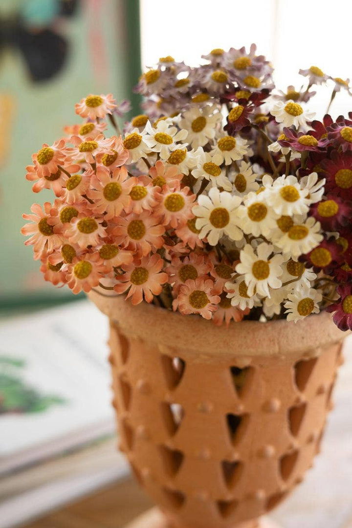 CHAMOMILE BUNDLE