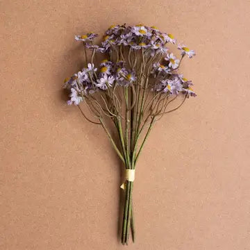 CHAMOMILE BUNDLE