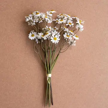 CHAMOMILE BUNDLE