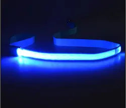 Led Light Up  Dog Leash