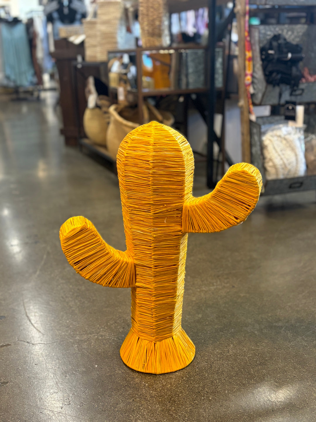 Medium Woven Raffia Cactus