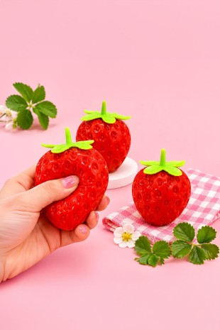 Strawberry Squishy Toy