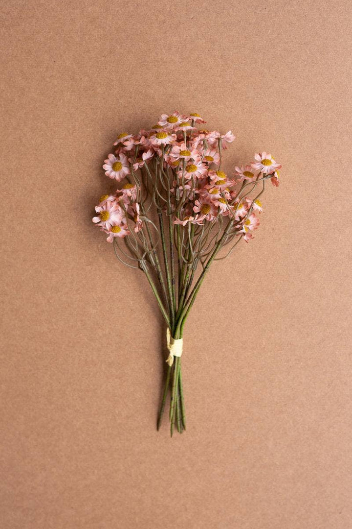 CHAMOMILE BUNDLE