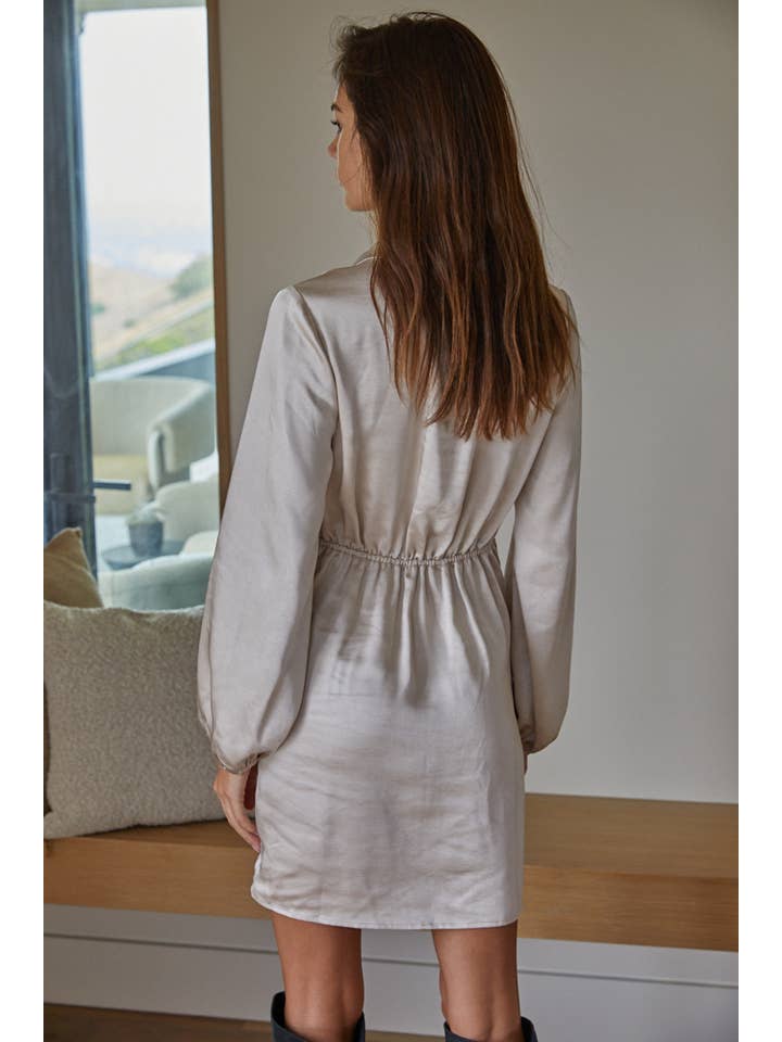 Classic Satin-Collar Long Sleeve Dress