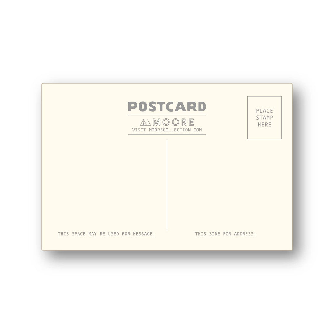 Greetings from Joshua Tree Postcard 