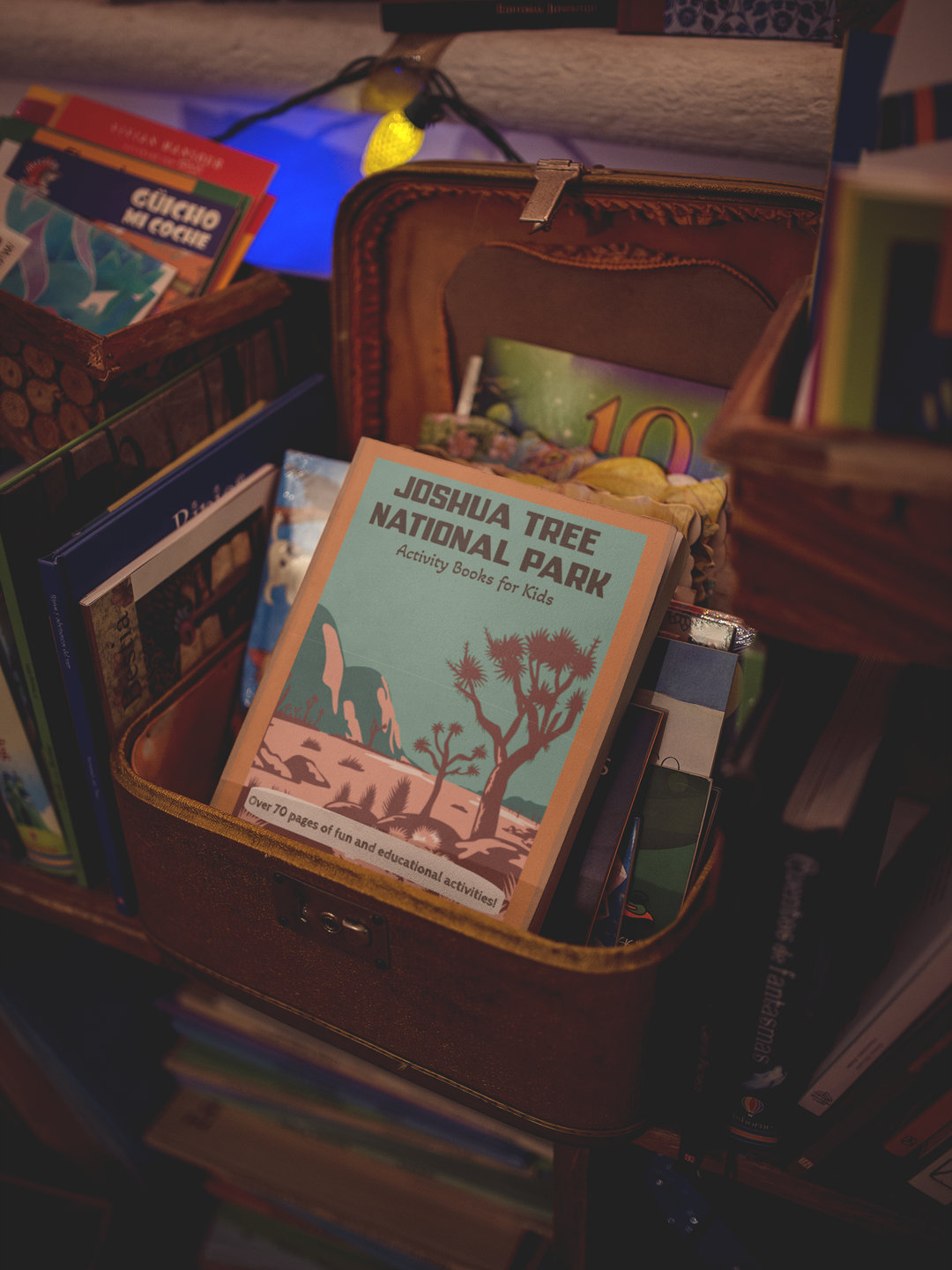 Joshua Tree National Park Activity Book