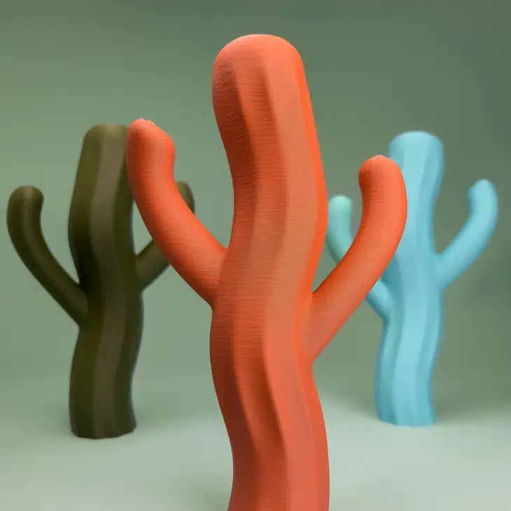 The Saguiggle Cactus