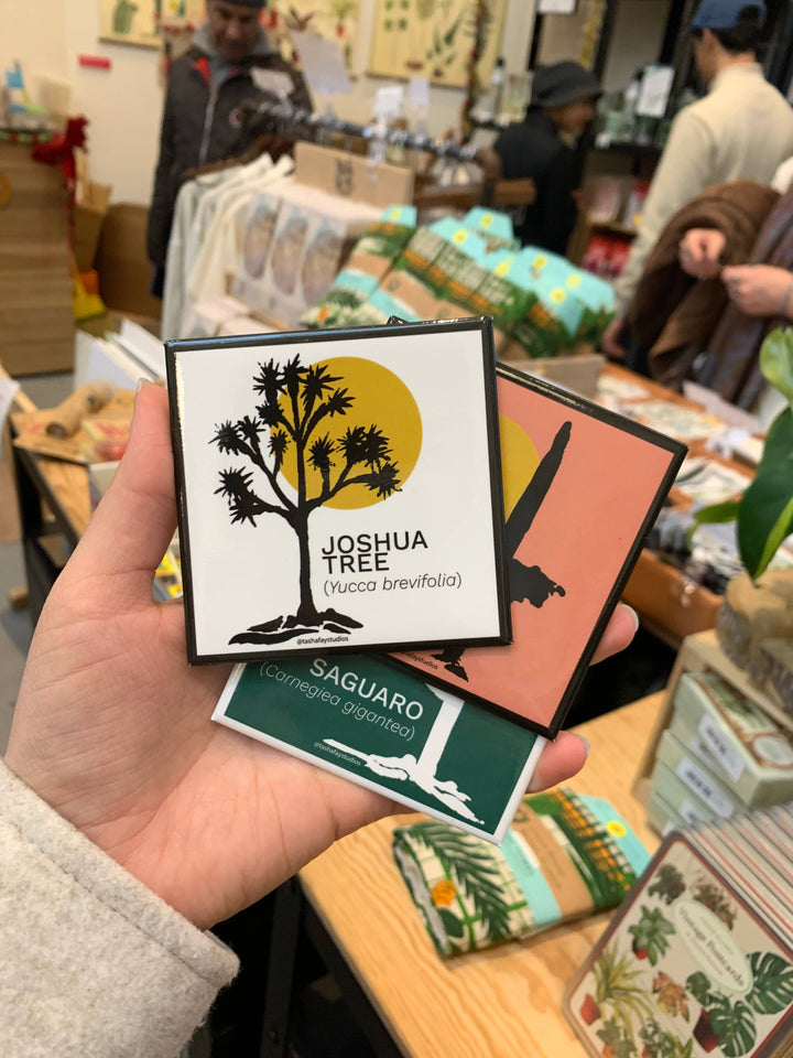 3" Joshua Tree Plant Fridge Magnet