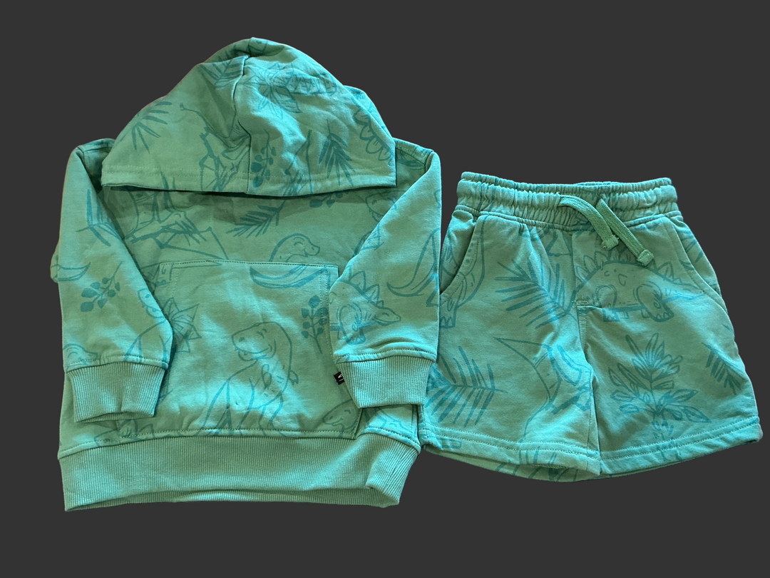 Dino Sweatshirt & Shorts