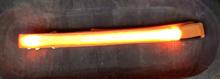 Led Light Up  Dog Leash