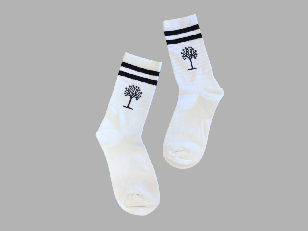 Striped Joshua Tree Socks
