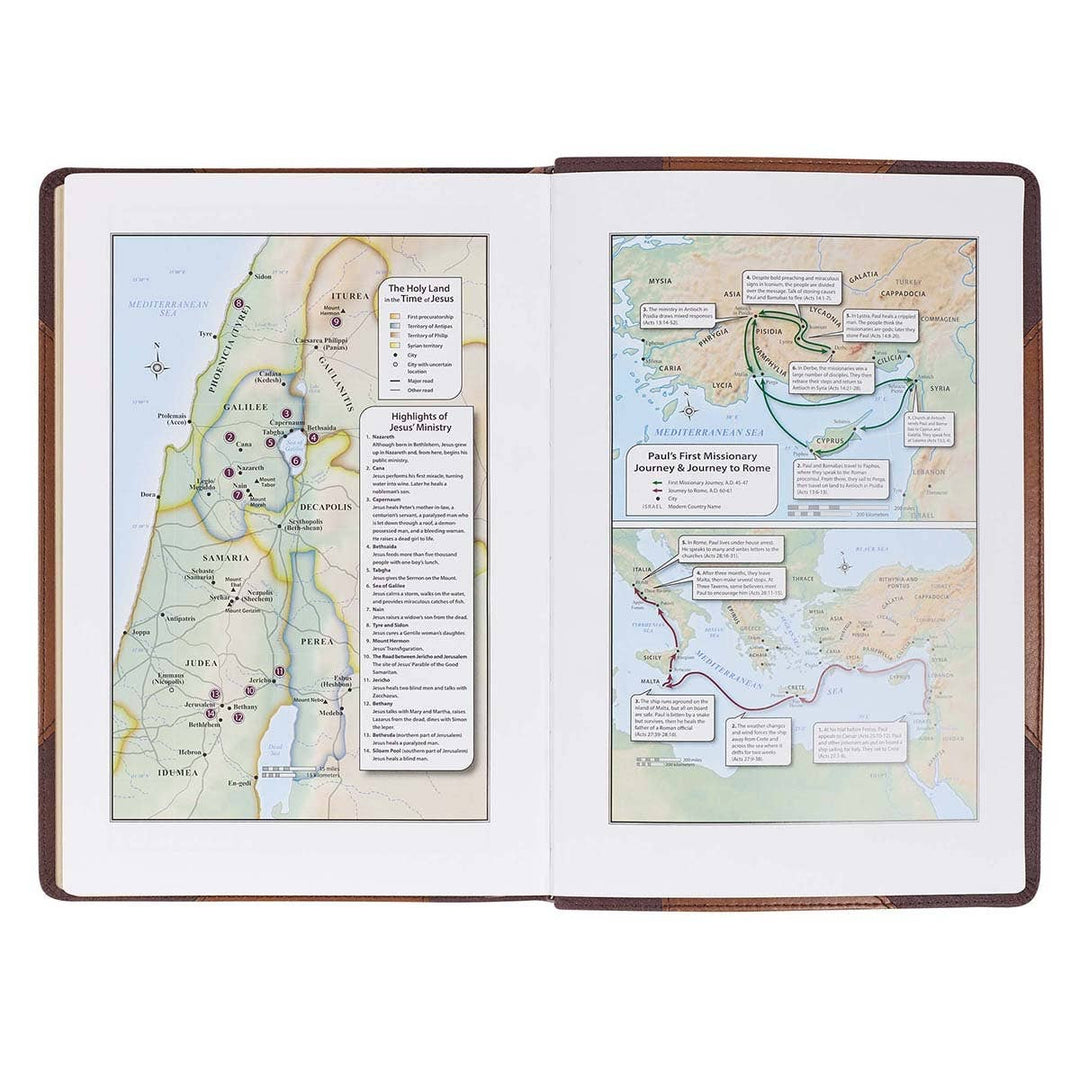 KJV Bible Two Tone Vegan Leather