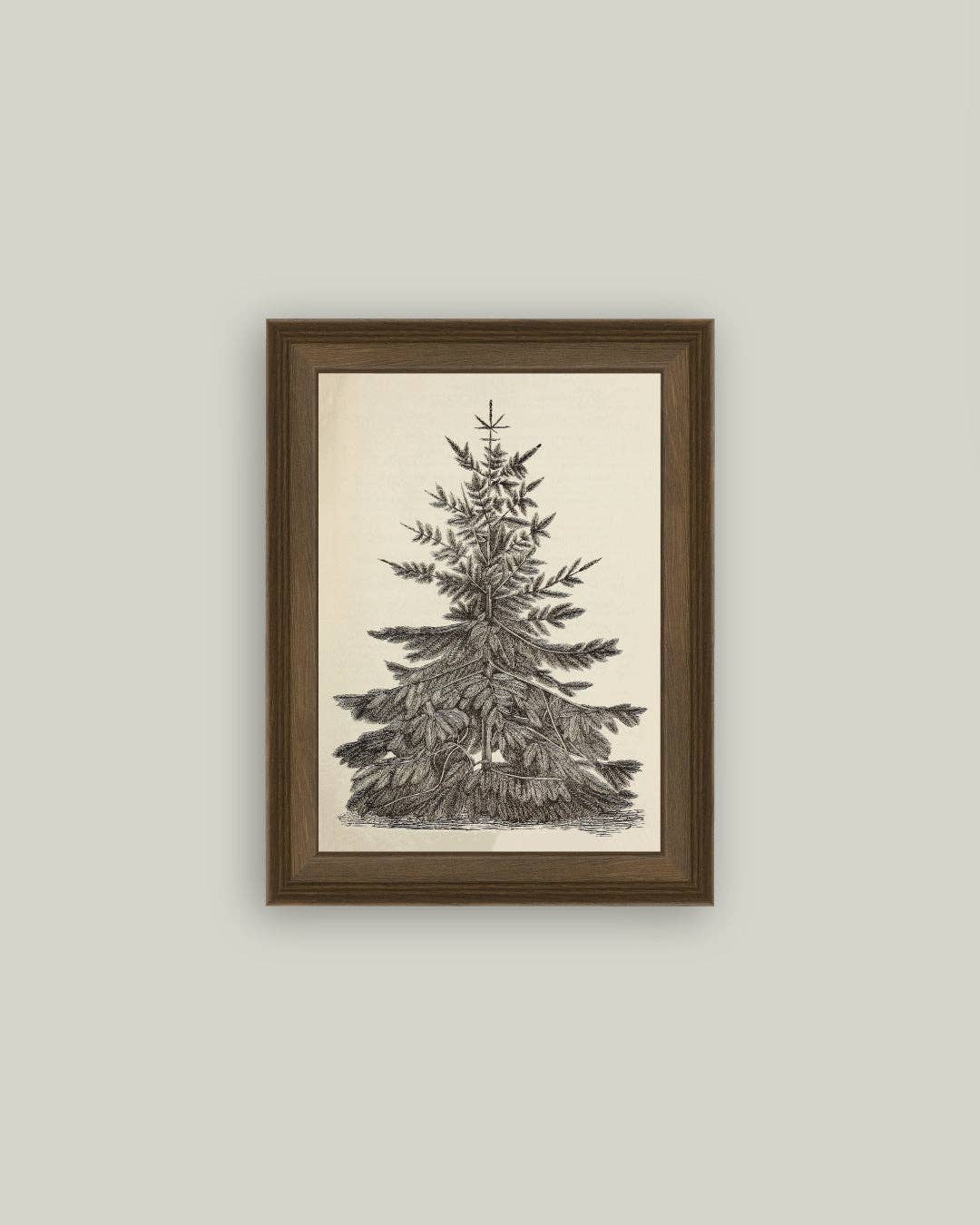 Vintage Pine Tree Framed Antique