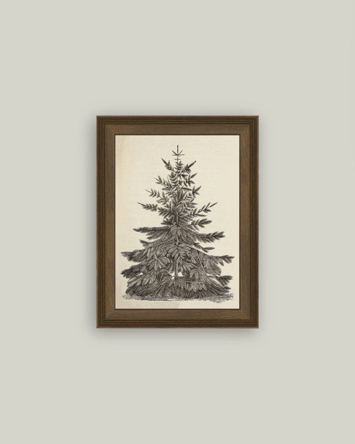 Vintage Pine Tree Framed Antique