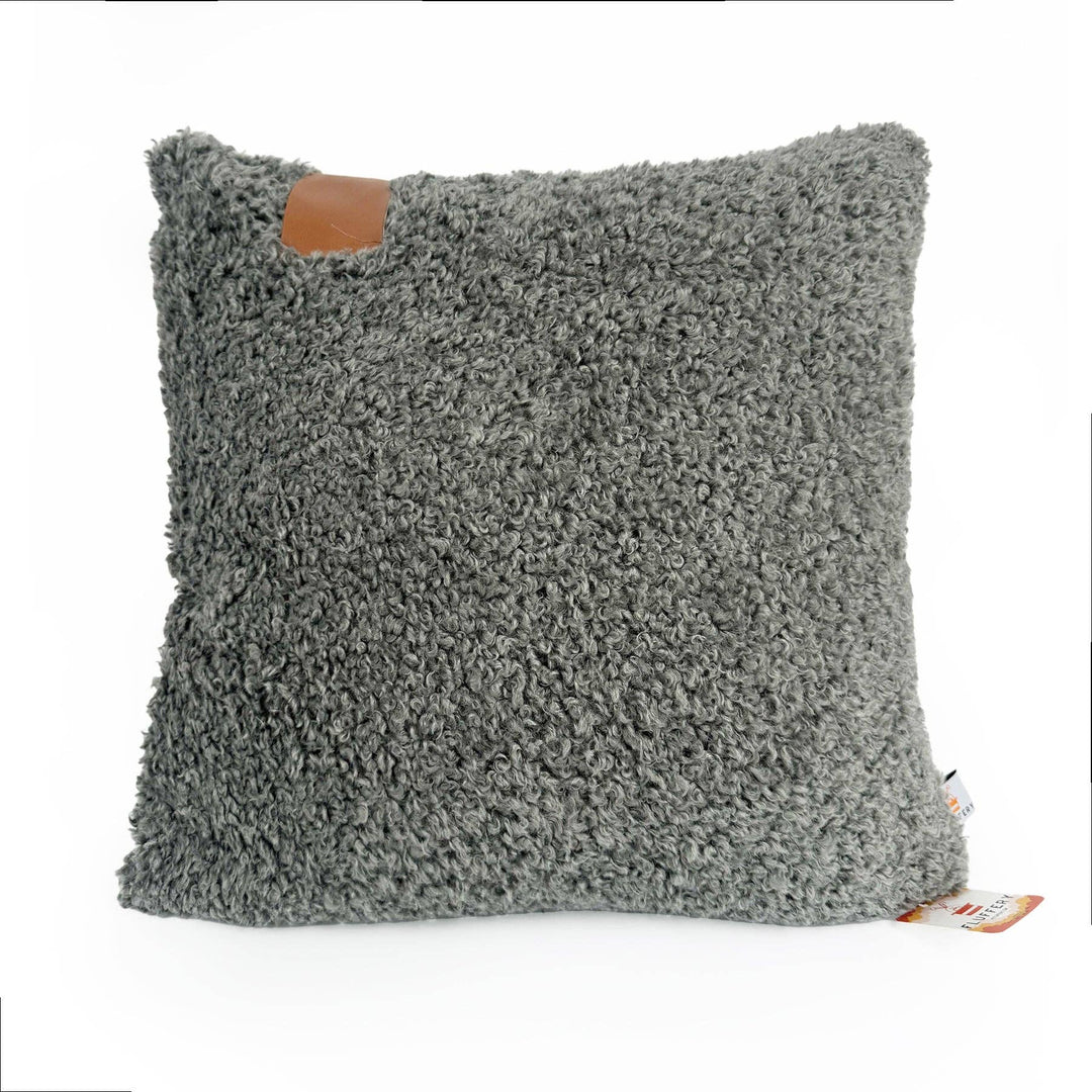 Cozy Teddy Throw Pillow