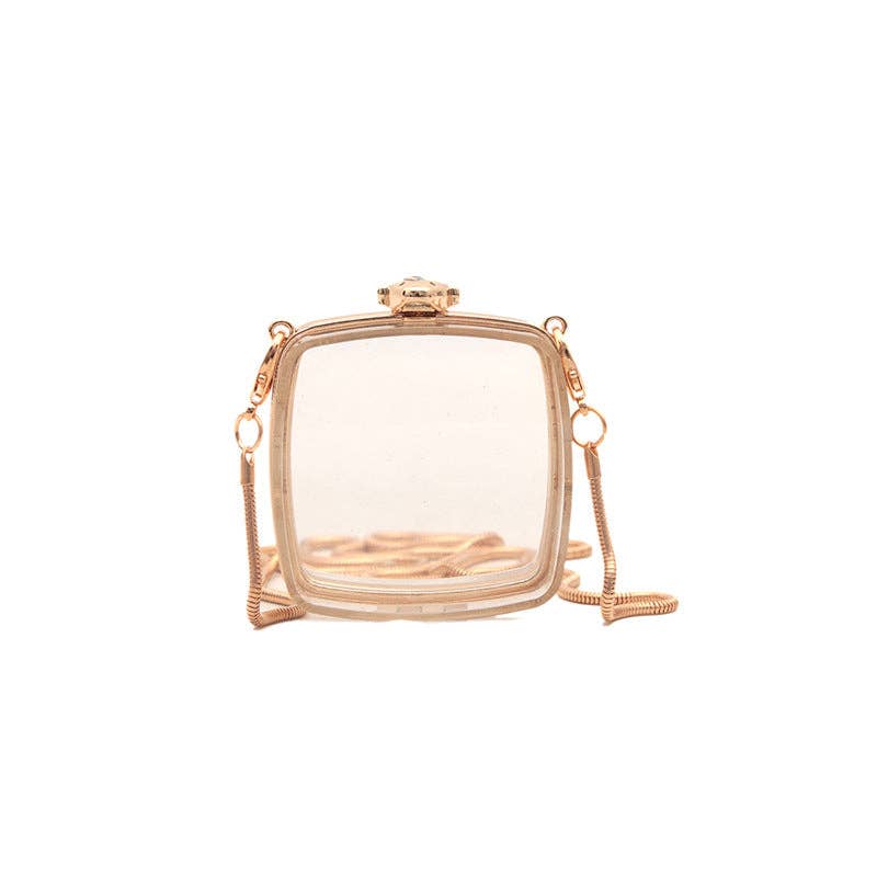 Mini Acrylic Handbag Square