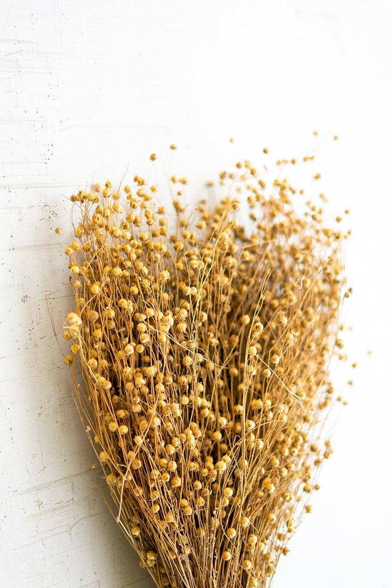 Bundle of Natural Lino Stems