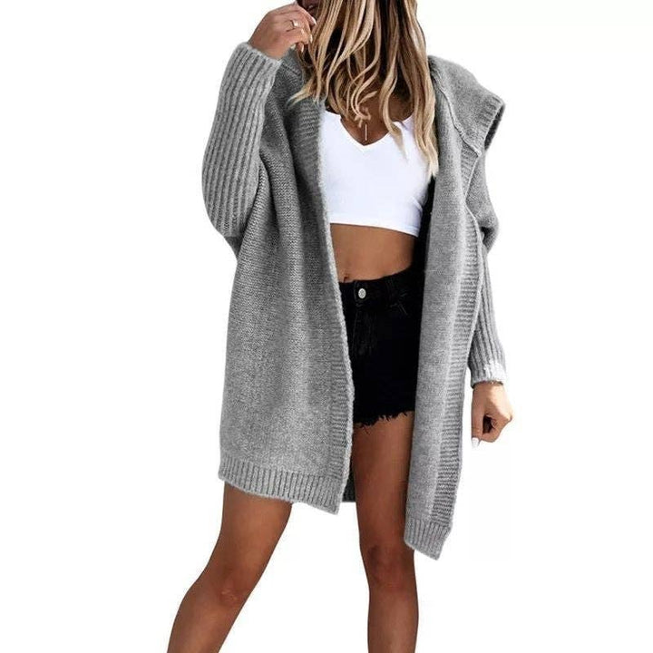 Loose Knit Hoodie Sweater
