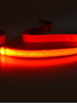 Led Light Up  Dog Leash