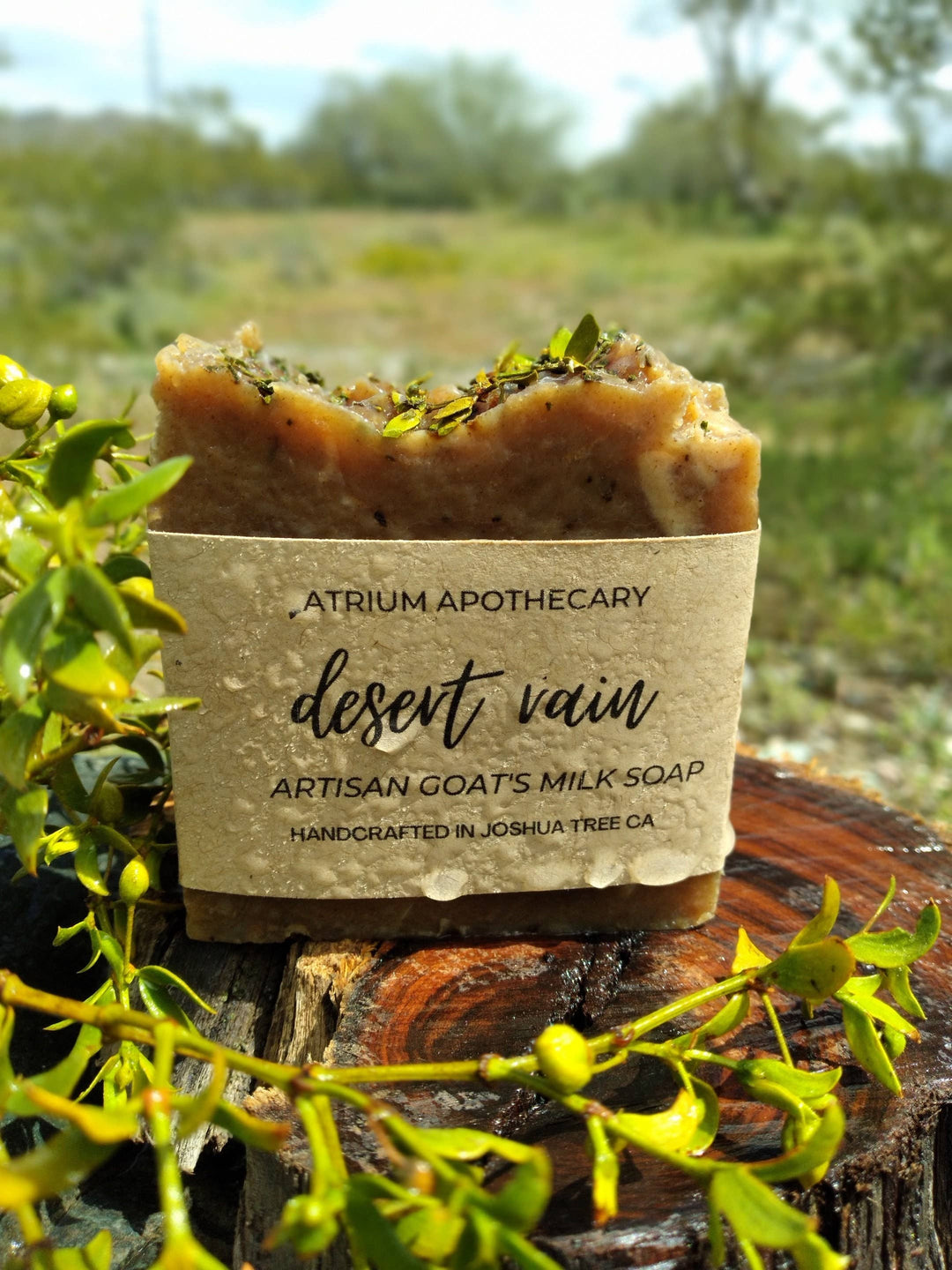 Artisan Soap Bar Desert Rain | Creosote | Chaparrel | Greas