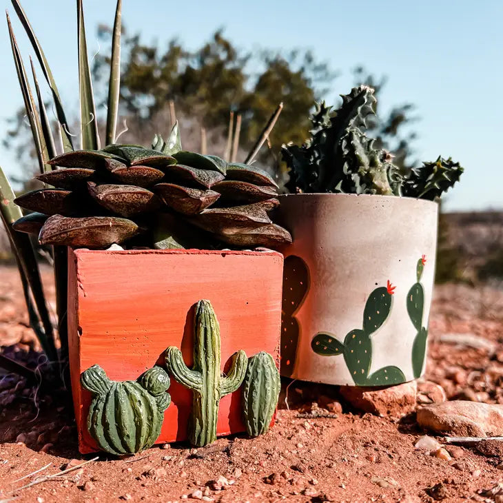 Desert Sky Square Cement Planter