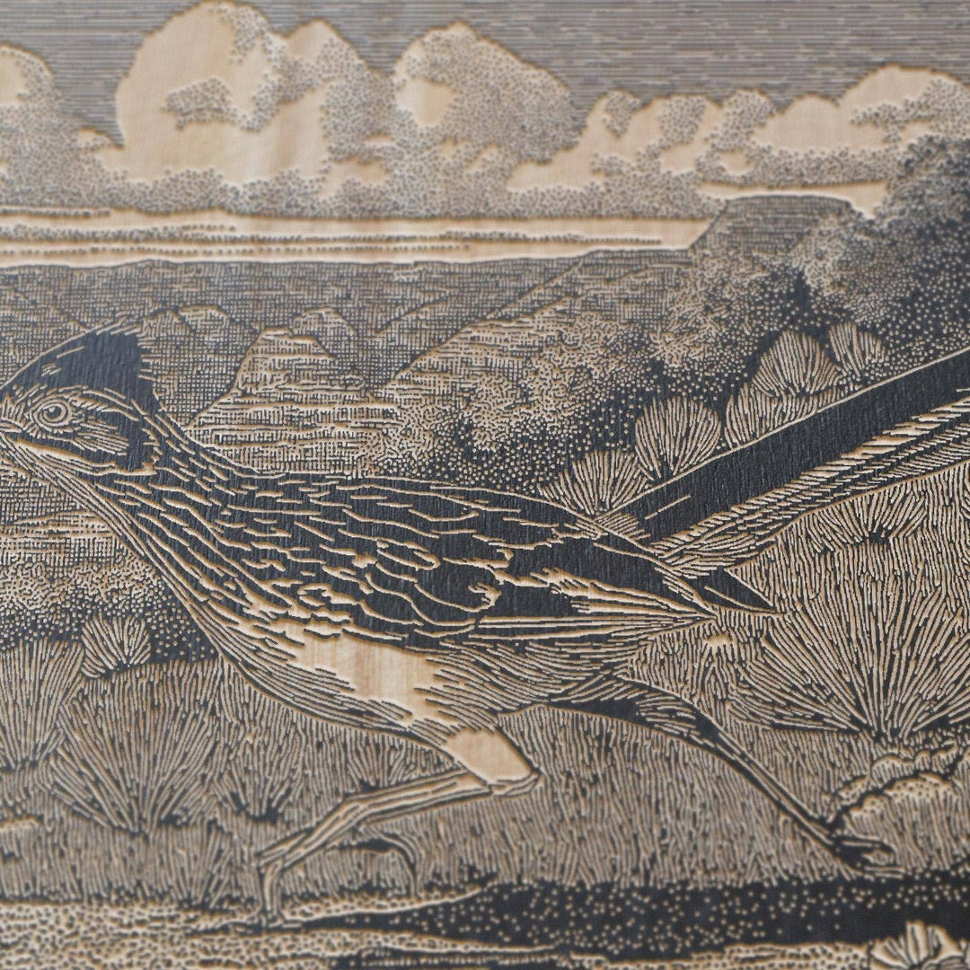 Roadrunner in the Desert Engraved Illustration