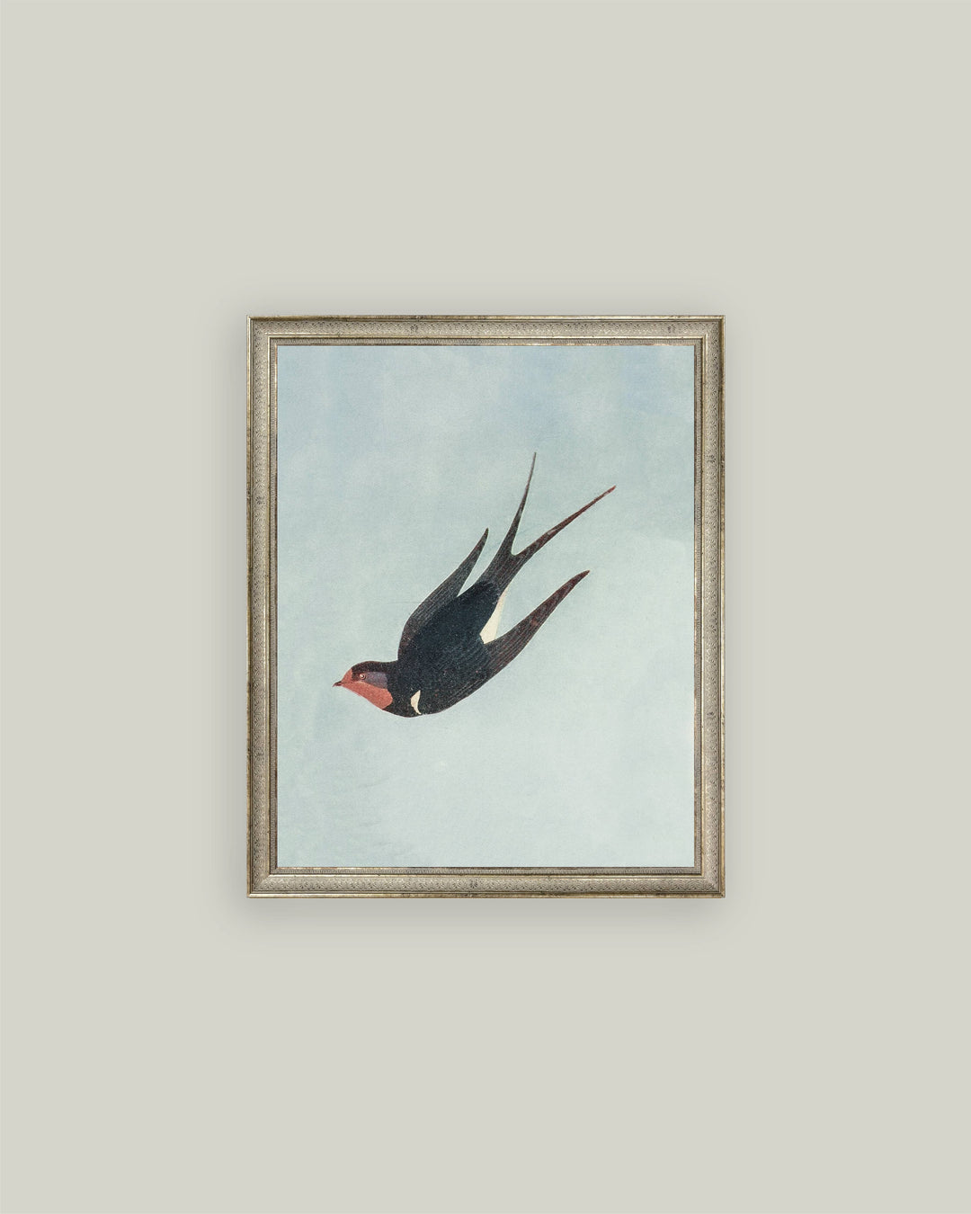 Swallow Boraston