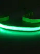 Led Light Up  Dog Leash