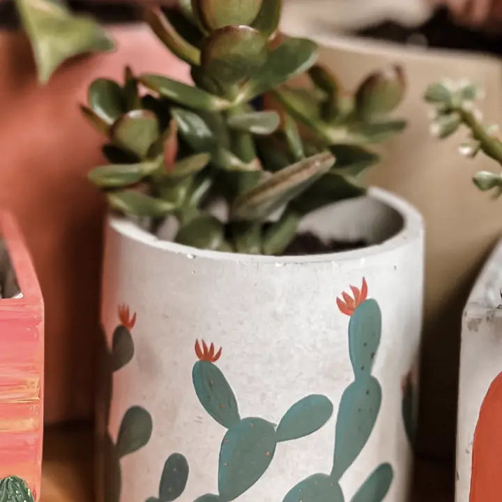 Prickly Pear Cactus Concrete Planter