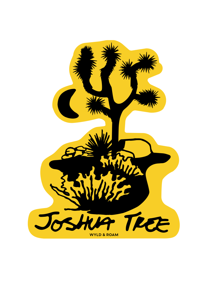 Joshua Tree Desert
