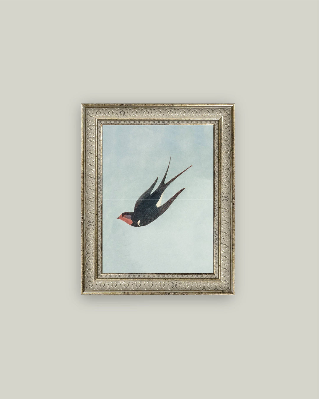 Swallow Boraston