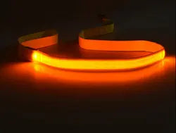 Led Light Up  Dog Leash