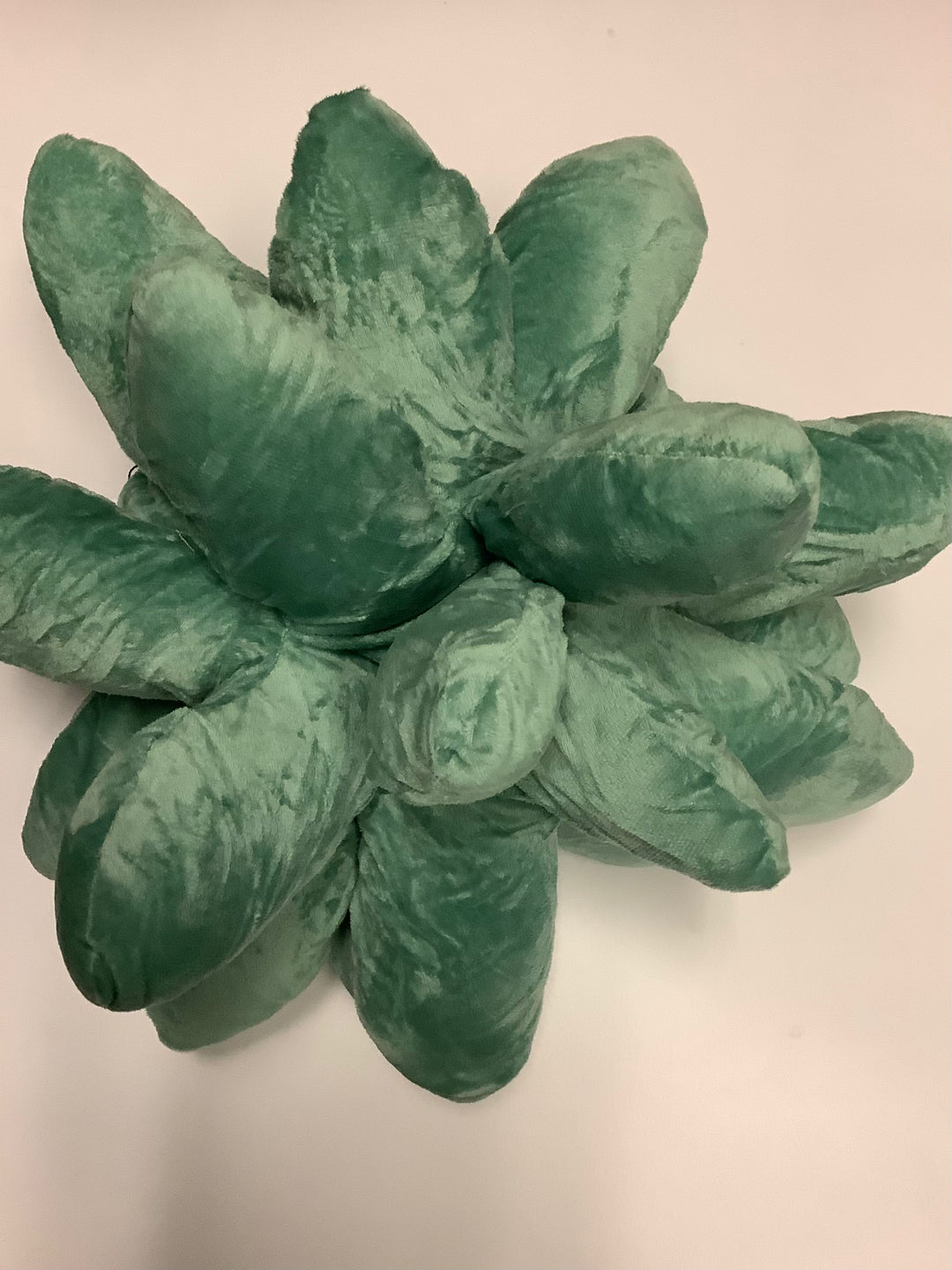 Plush Succulent