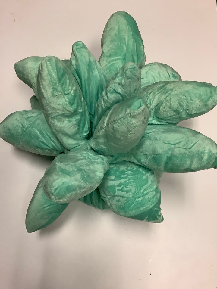 Plush Succulent