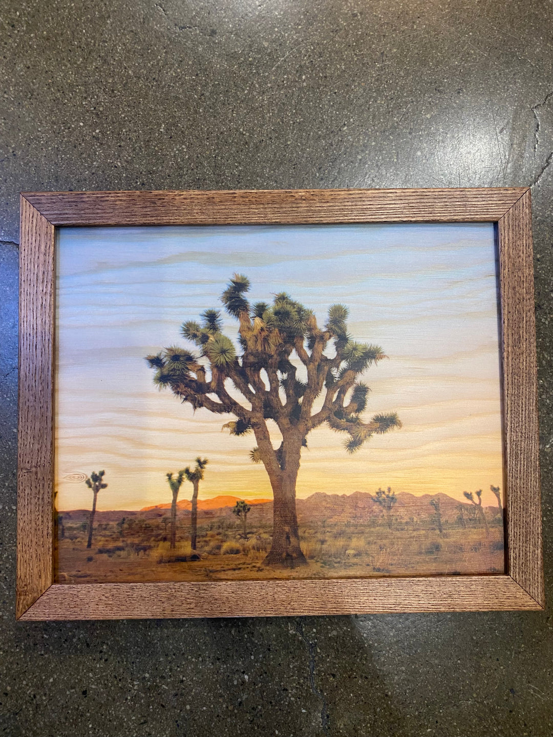 Joshua Tree Wood Print 11x9