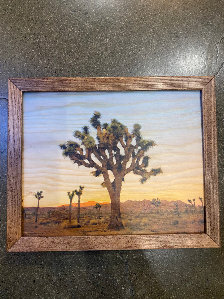 Joshua Tree Wood Print 11x9