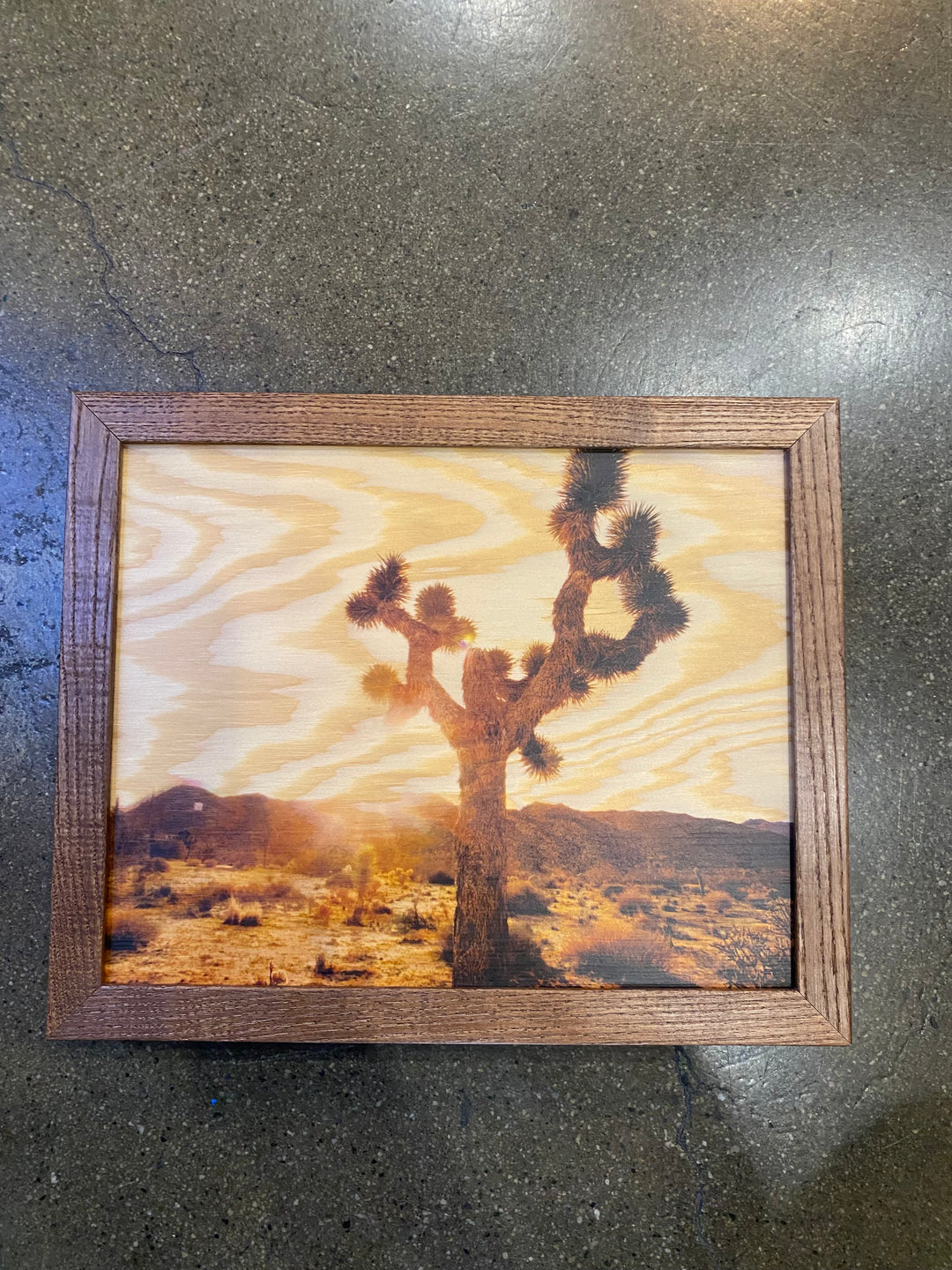 Joshua Tree Wood Print 11x9