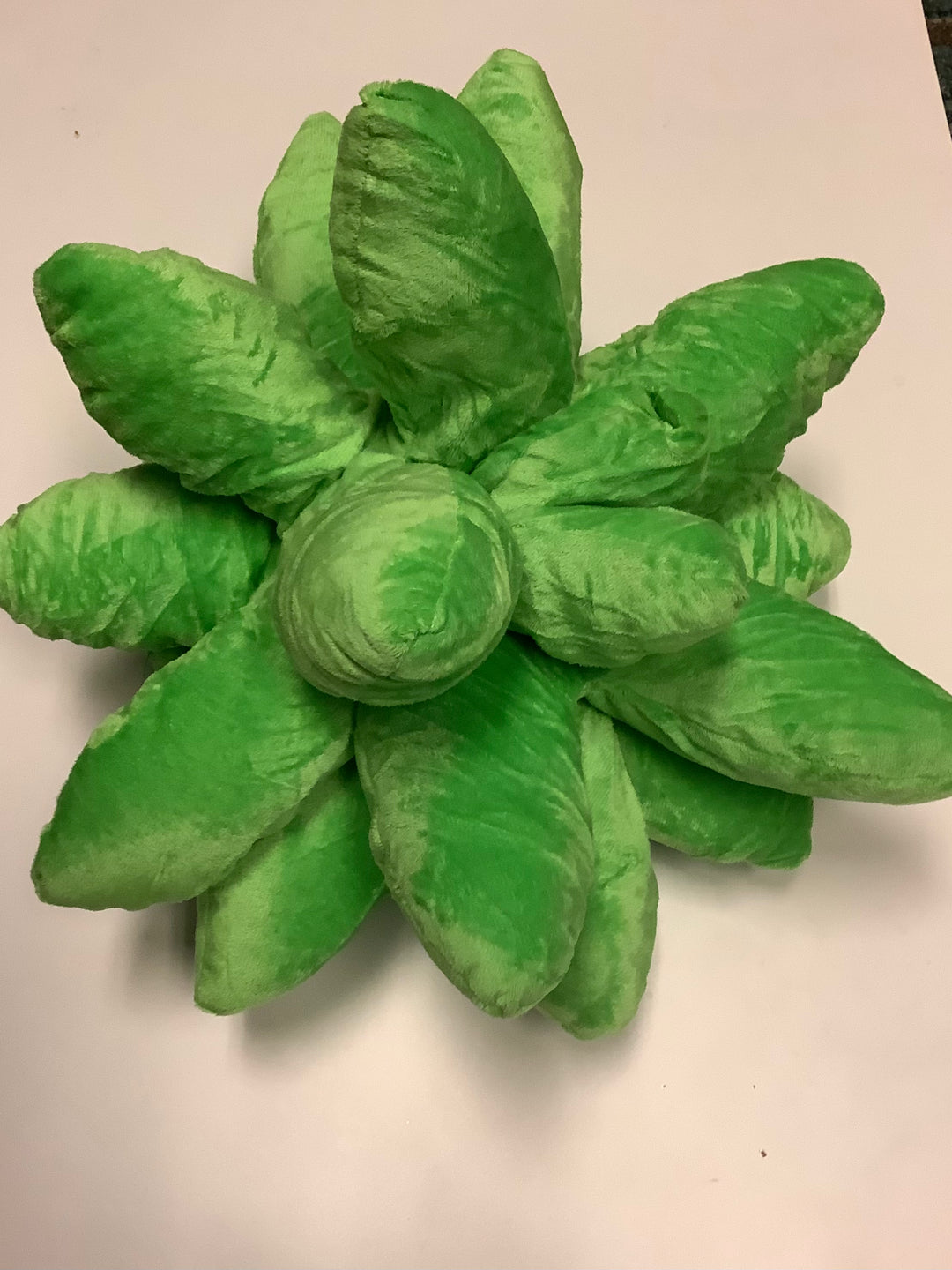 Plush Succulent