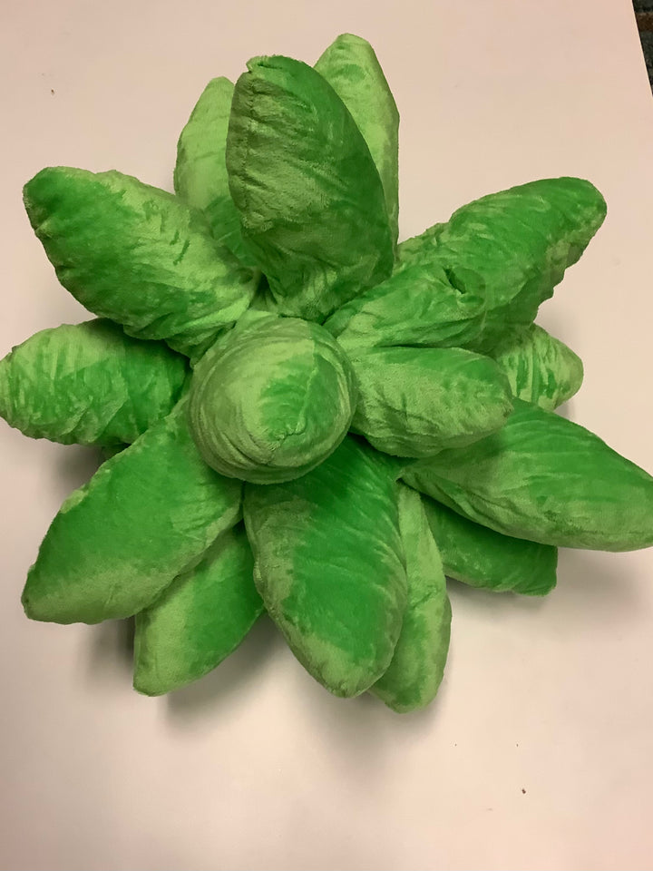 Plush Succulent